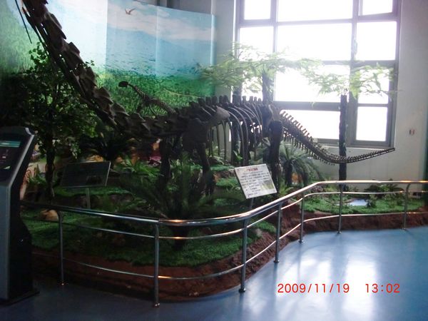 模型展示